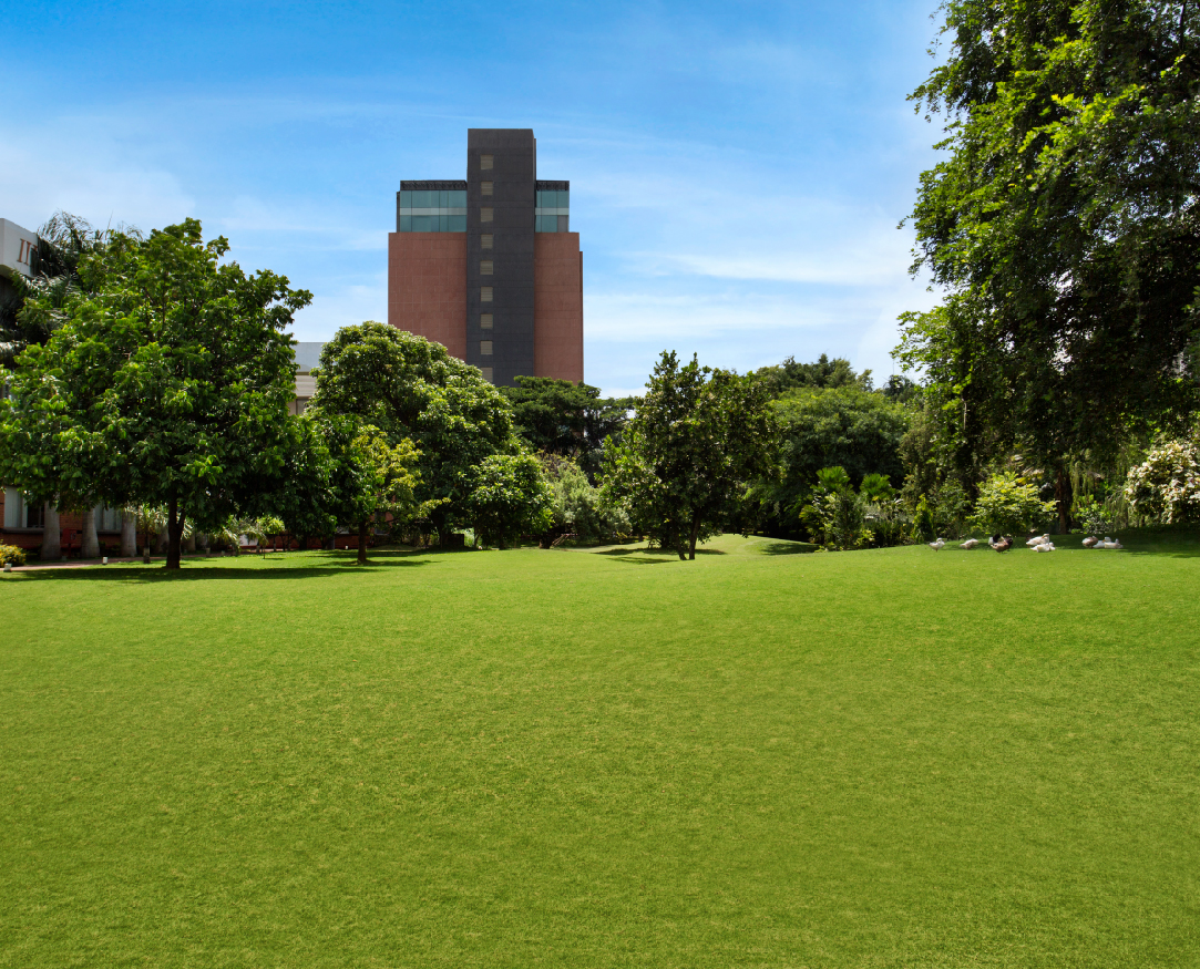 Lawn
