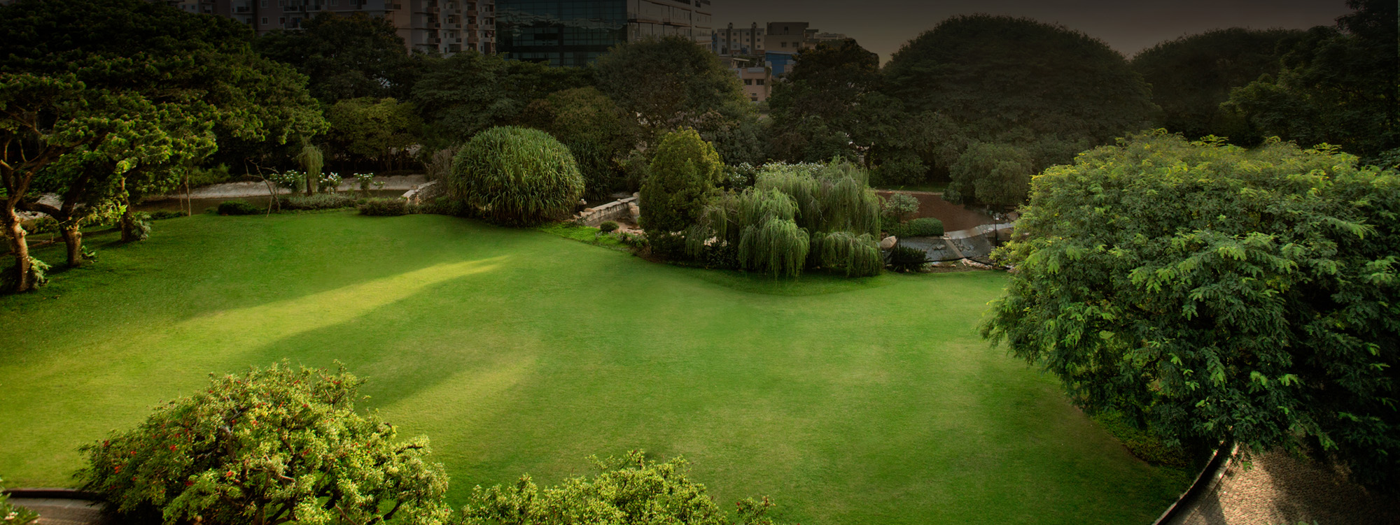 Lawn copy